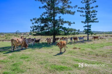 Property Lot 2 Mahoneys Road, Bucca QLD 4670 IMAGE 0