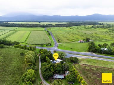 Property 2539 Mossman Daintree Road, LOWER DAINTREE QLD 4873 IMAGE 0