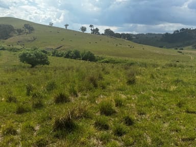 Property 3201 Lagoon Road, Rockley NSW 2795 IMAGE 0