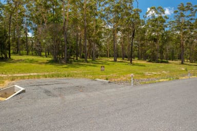 Property Various Lots Inches Rd, VERGES CREEK NSW 2440 IMAGE 0