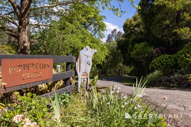 Property 425 Olsens Road, Poowong VIC 3988 IMAGE 0