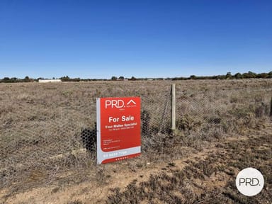 Property lot 2, 407 Yelta Road, Merbein West VIC 3505 IMAGE 0