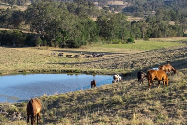 Property 210 Dog Trap Creek Road, EAST GRESFORD NSW 2311 IMAGE 0