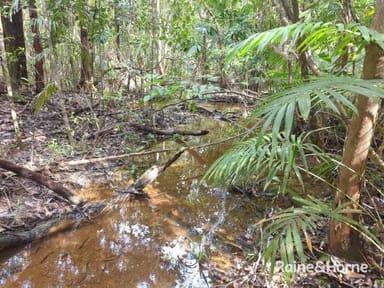 Property Lot 246 White Beech Road, Cow Bay QLD 4873 IMAGE 0