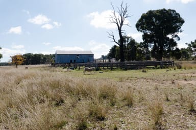 Property "Glen Alvin" & "Lockyer", ELONG ELONG NSW 2831 IMAGE 0