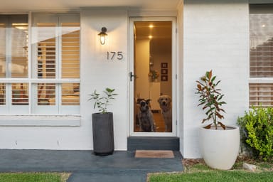 Property 175 Teralba Road, Adamstown NSW 2289 IMAGE 0