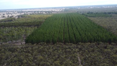 Property Lot 1 Jim Ryans Road, Edenhope VIC 3318 IMAGE 0