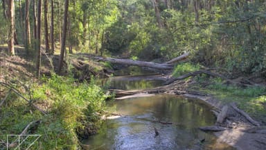 Property 875 Main Neerim Road, Drouin West VIC 3818 IMAGE 0