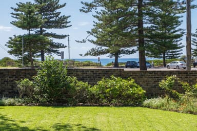 Property 431 Barrenjoey Road, Newport  IMAGE 0