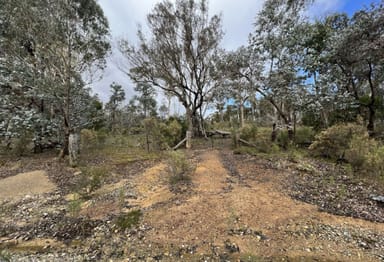 Property 266 Strawberry Creek Road, WINDELLAMA NSW 2580 IMAGE 0