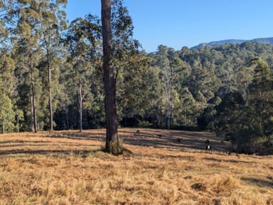 Property Lot 17, 127 APPALOOSA DRIVE, CONONDALE QLD 4552 IMAGE 0