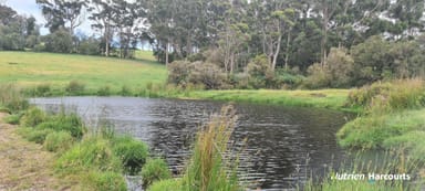 Property 2506 Lower Denmark Road, Kronkup WA 6330 IMAGE 0