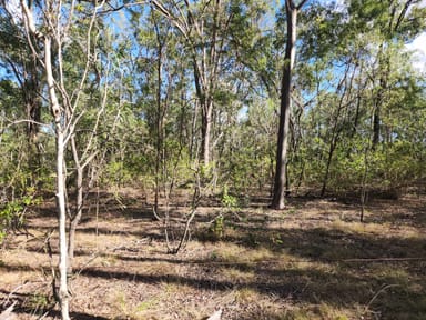 Property Lot 5 Duckpond Road, MOOLBOOLAMAN QLD 4671 IMAGE 0