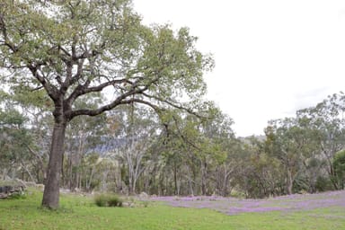 Property 813 Bluff River Road, TENTERFIELD NSW 2372 IMAGE 0