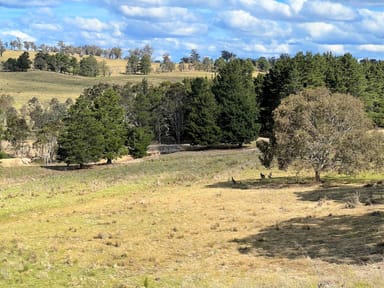 Property Lot 15 Losebys Road, Marulan NSW 2579 IMAGE 0