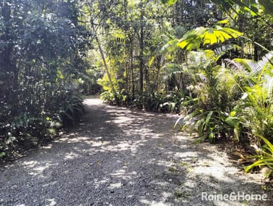 Property 32 Nicole Drive, Cape Tribulation, DAINTREE QLD 4873 IMAGE 0