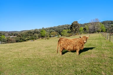 Property 52a Springrove Lane, KURRAJONG HILLS NSW 2758 IMAGE 0