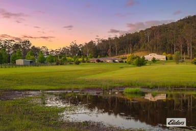 Property 41 Amber Lane, Wyong Creek NSW 2259 IMAGE 0