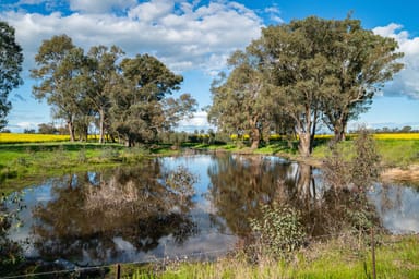 Property 'Pleasant Valley', 626 Hudsons Rd, Walbundrie NSW 2642 IMAGE 0