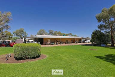 Property 490 Low Darling Road, Pomona NSW 2648 IMAGE 0