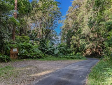 Property 886 Tomewin Road, Tomewin NSW 2484 IMAGE 0