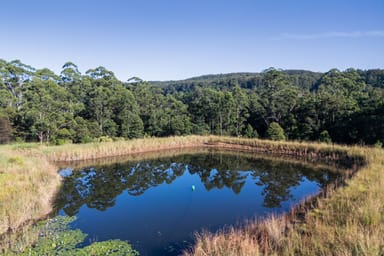 Property 26 Timber Top Road, Glenreagh NSW 2450 IMAGE 0