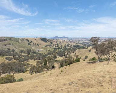 Property 688 Hells Hole Creek Road, Bonnie Doon VIC 3720 IMAGE 0
