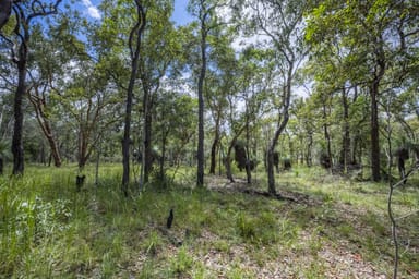 Property 8 Greberts Road, Whiteman Creek NSW 2460 IMAGE 0