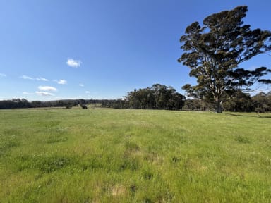 Property 173 Walter Road, SCOTSDALE WA 6333 IMAGE 0