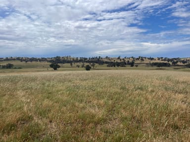 Property Lot 4-5, 3 Cooney's Creek Road, JUGIONG NSW 2726 IMAGE 0