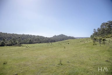 Property South Bridgenorth Road, Bridgenorth TAS 7277 IMAGE 0