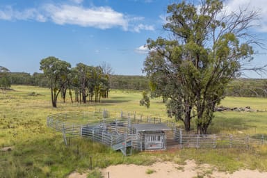 Property 739 Stannifer Road, STANNIFER NSW 2369 IMAGE 0