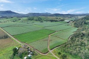 Property 141 Nicol Road, Hampden QLD 4741 IMAGE 0