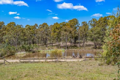 Property 29 Blue Cliff Road, POKOLBIN NSW 2320 IMAGE 0