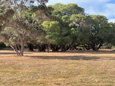 Property 9569 (PL 582) Caves Road, HAMELIN BAY WA 6288 IMAGE 0