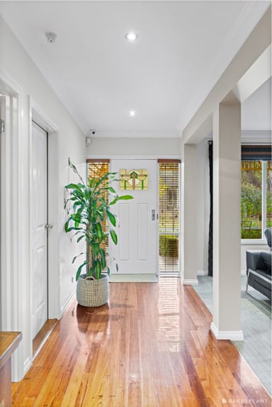 Property 14 Wingate Avenue, Ringwood East VIC 3135 IMAGE 0