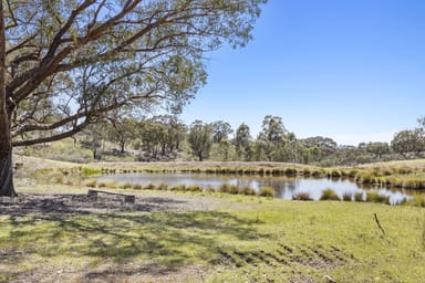 Property 1971 Rugby Road, Bevendale NSW 2581 IMAGE 0