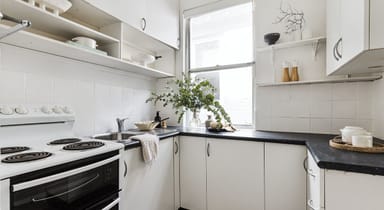 Property 24 Roseberry Street, Balmain NSW 2041 IMAGE 0