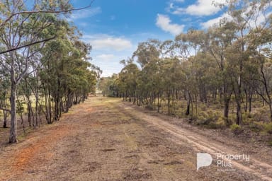 Property 5936 Muckleford-Castlemaine Road, MUCKLEFORD VIC 3451 IMAGE 0