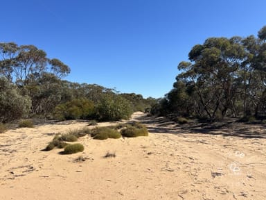 Property Lot 31 Black Hill Road, Cambrai SA 5353 IMAGE 0