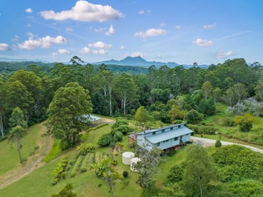 Property 3850 Kyogle Road, Mount Burrell NSW 2484 IMAGE 0