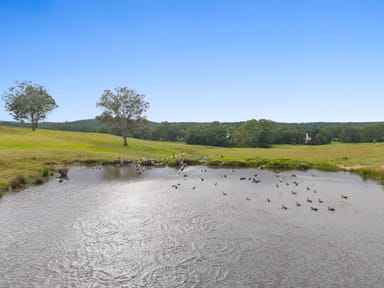 Property 45 Barlows Gate Road, Lower Acacia Creek NSW 2476 IMAGE 0