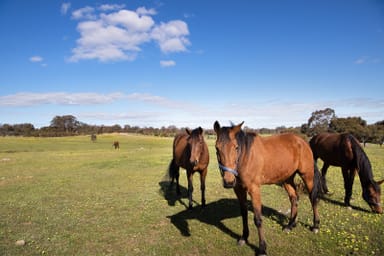 Property 4, Axe Creek Road, Axe Creek VIC 3551 IMAGE 0