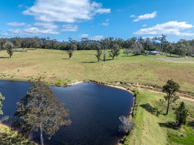 Property 243 Mount Darragh Rd, South Pambula NSW 2549 IMAGE 0