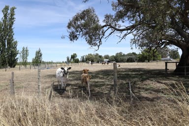 Property Lot 2 Benalla-Tocumwal Road, MUCKATAH VIC 3644 IMAGE 0