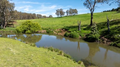 Property 2531 Niangala Road, Walcha NSW 2354 IMAGE 0