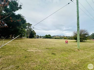 Property Lot 1,2 & 3 Pine Lane, Tumbarumba NSW 2653 IMAGE 0