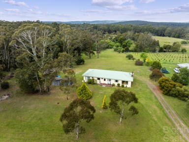 Property 1344 Ballan Daylesford Road, SPARGO CREEK VIC 3461 IMAGE 0