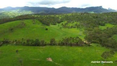 Property Lot 167 Towns Creek Road, Mount Perry QLD 4671 IMAGE 0