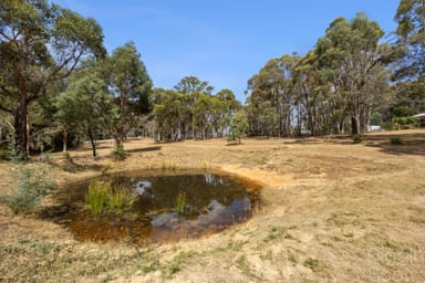 Property 516A Porcupine Ridge Road, PORCUPINE RIDGE VIC 3461 IMAGE 0